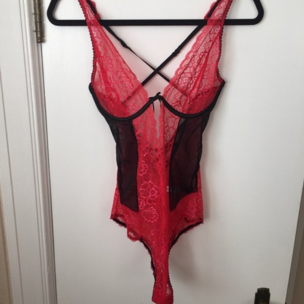 La Vie En Rose Teddy (NWOT)